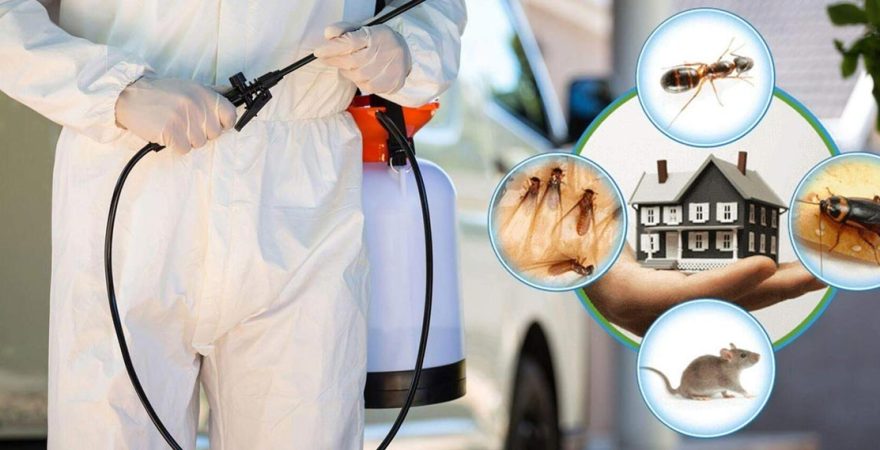 Çiğli Böcek İlaçlama