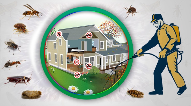 Çiğli Böcek İlaçlama