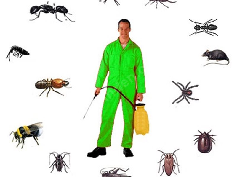 Çiğli Böcek İlaçlama